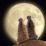 Meerkat Moon Art Print