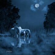 Midnight Elephants At The Watering Hole Art Print