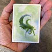 Mini Scorpion Fern Art Print