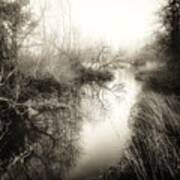 Misty River Art Print