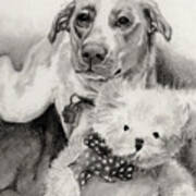 Mixed Breed With Teddy Bear Art Print