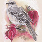 Mockingbird In Autumn Dogwood Art Print