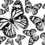 Monarch Butterflies - Black And White Art Print