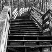 Monochrome Study Of Wooden Stairs At Stone Mountain In North Car Art Print