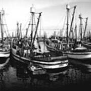 Monterey Fishing Fleet 1940 Art Print