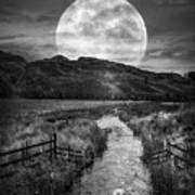 Moonlight On The Swans Ii Black And White Art Print
