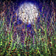 Moonlight Shadows Over Honey Meadow Flowers Art Print