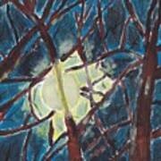 Moonlight Through The Trees Art Print