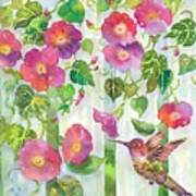 Morning Hummingbird Art Print