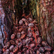 Mother Redwood Tr10503 Art Print