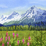 Mountain View From The Seward Highway Alaska Art Print