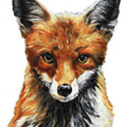 Mrs. Fox Oil Painting With White Background Art Print