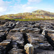 Muckross Coast Art Print