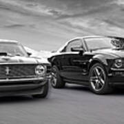 Mustang Buddies In Black And White Art Print