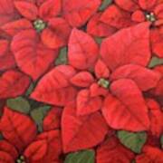 My Very Red Poinsettia Art Print