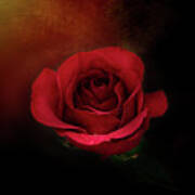 Mystic Rustic Red Rose Art Print
