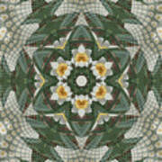 Narcissus Kaleidoscope Square Art Print