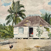 Native Hut At Nassau Art Print