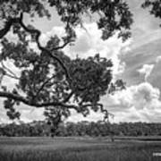 Natures Serenity In Black And White Art Print