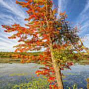 New Hampshire Lakes Region Fall Colors Art Print