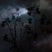 Night Meadow Flowers Art Print