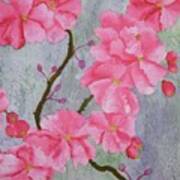 No.5 Cherry Blossoms Art Print
