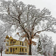 Oakitecture #2 - Historic Stoughton Home And Oak Tree In Wintertime Art Print