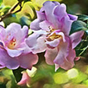October Magic Camellia Art Print