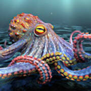 Octopus B Art Print