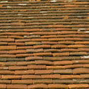Old Terracotta Tiles On Roof Art Print