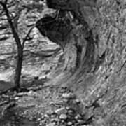 Old Tree And Overhang 2-sitting Bull Falls, New Mexico-guadalupe Mountains, Lincoln National Forest Art Print