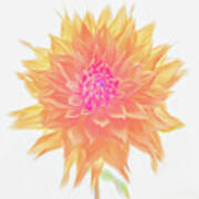 Orange Dahlia In Motion Art Print