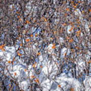 Orange Leaves In The Snow Art Print