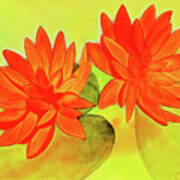 Orange Waterlily Art Print