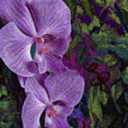 Orchids 211 Art Print