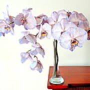 Orchids - Ontheedge Art Print