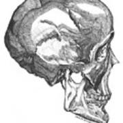 Origin- Skull Art Print