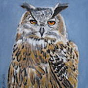 Owl Orange Eyes Art Print