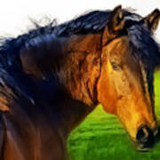Painterly Horse Art Print
