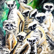 Painting Meerkats Animal Background Cute Illustra Art Print