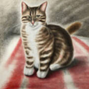 Painting Red Carpet Silk Painting Cute Pet Animal Art Print