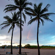 Palm Tree Rainbow, South Beach, Miami, Florida Art Print