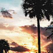 Palm Tree Silhouettes And Sunset Coastal Nature / Landscape Photo Art Print
