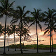 Palm Tree Sunset, South Beach, Miami, Florida Art Print