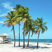 Palm Trees On The Beach, Key Biscayne, Florida Art Print