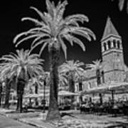 Palms Along Trogir Promenade Art Print