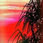 Pandanus Palm Sunset Art Print