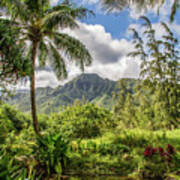 Paradise Pond - Kahaluu - Oahu, Hawaii, Usa - 2011 2/10 Art Print