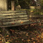 Park Bench And Autumn Leaves Art Print