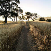 Path To Cachuma Art Print